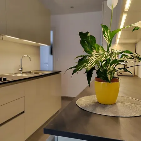 Petar Apartment